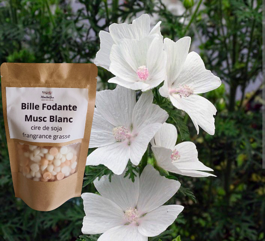 Bille Fondante Musc Blanc